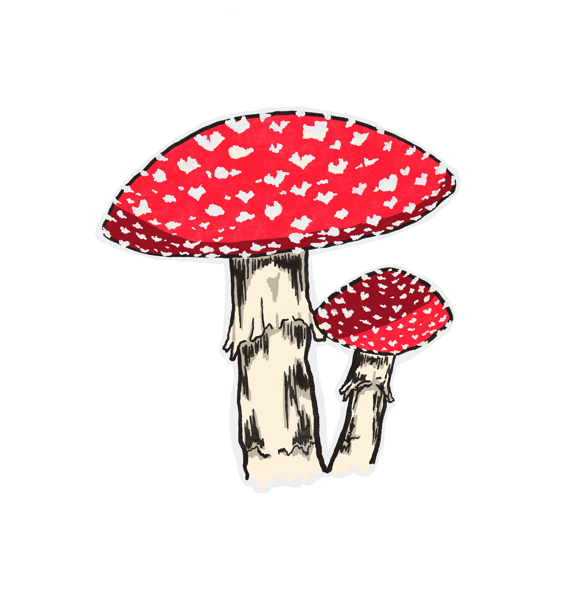 AMANITA STICKER